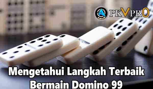 domino 99